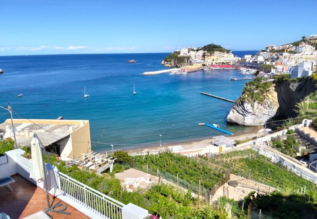 Appartamento a Ponza - Turistcasa - Casa Pantaleone -