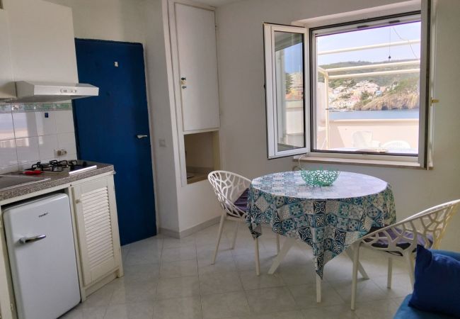 Appartamento a Ponza - Turistcasa - Gattadamare -