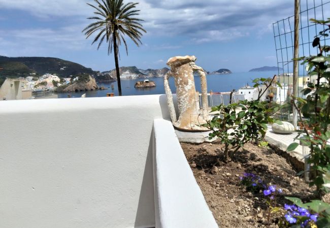 Ferienwohnung in Ponza - Turistcasa - Isolamì 2 -