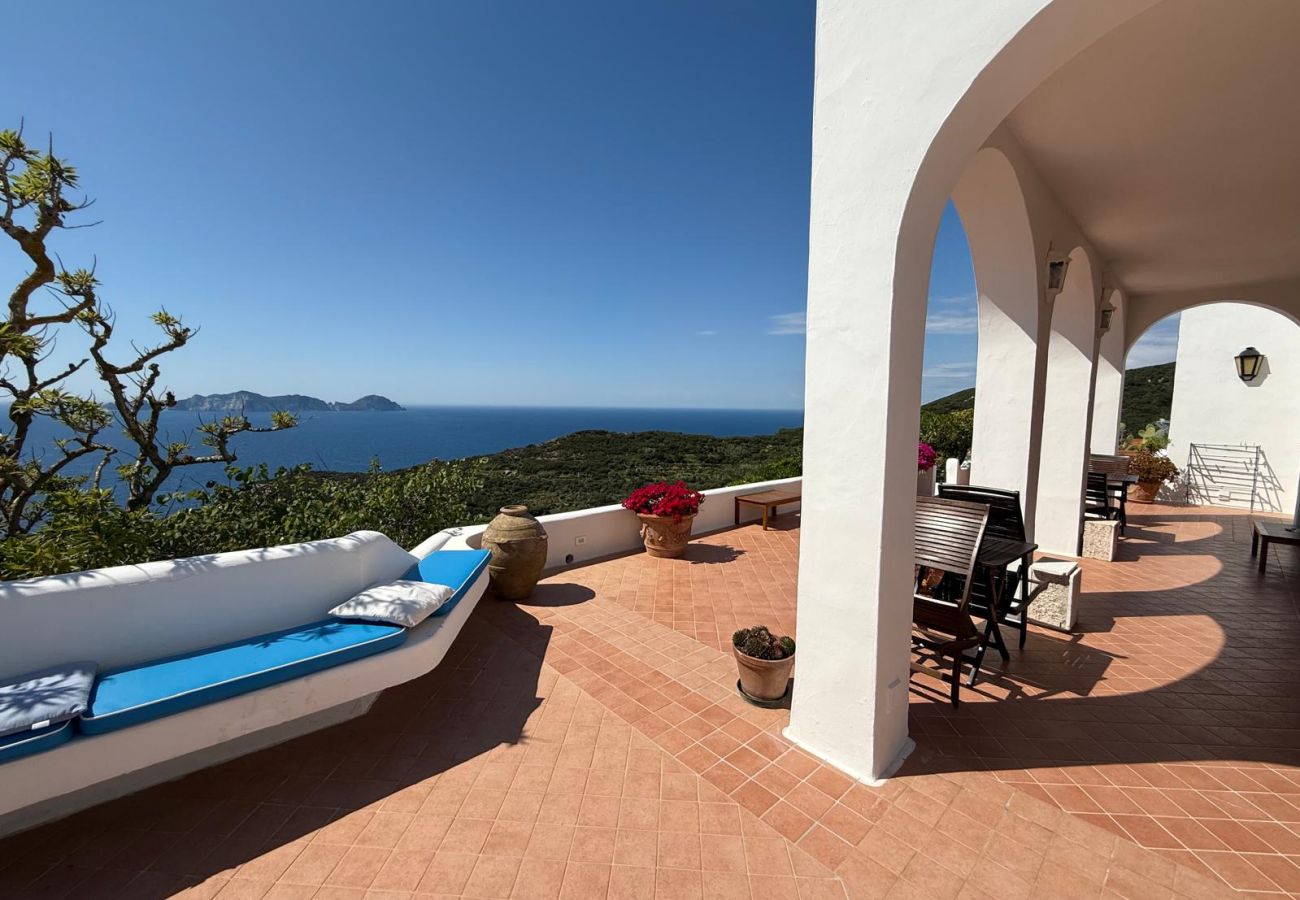 Rent by room in Ponza - B&B Il  Gabbiano Junior Suite