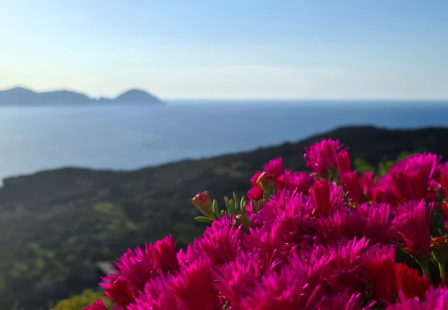 Chambres d'hôtes à Ponza - B&B Il Gabbiano camera matrimoniale 01