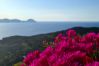 Chambres d'hôtes à Ponza - B&B Il Gabbiano camera matrimoniale 01