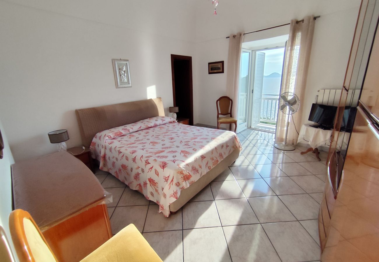 Appartement à Ponza - Turistcasa - Salsedine -